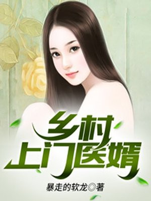 乡村上门医婿