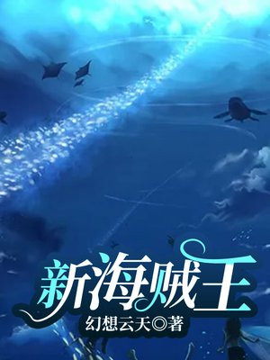 新海贼王