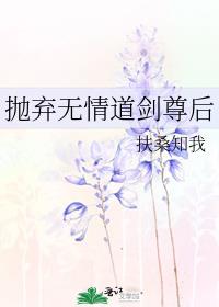 抛弃无情道剑尊后