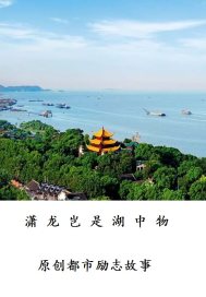 潇龙岂是湖中物