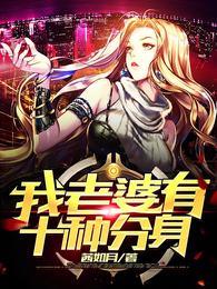 我老婆有十种分身