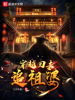 大观风华录
